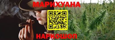 тгк Гай