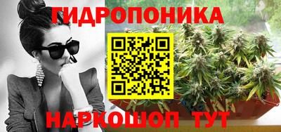 спайс Гусев